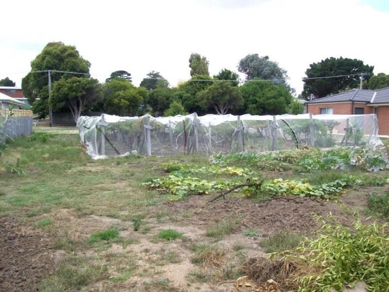 11 Kilburn Street, Corinella VIC 3984