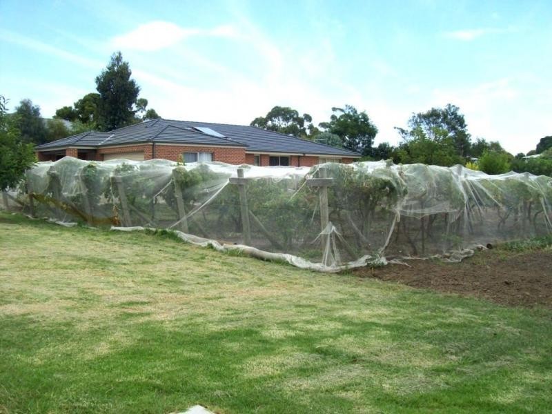 11 Kilburn Street, Corinella VIC 3984