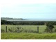 89-91 Phillip Island Road, Surf Beach VIC 3922
