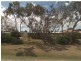 32 Cuthbert Street, Corinella VIC 3984