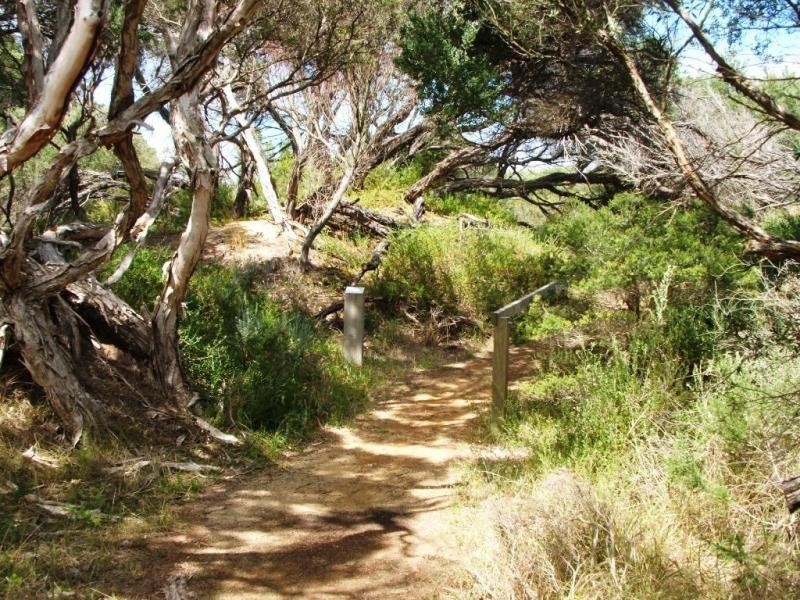 24 The Esplanade, Cape Woolamai VIC 3925