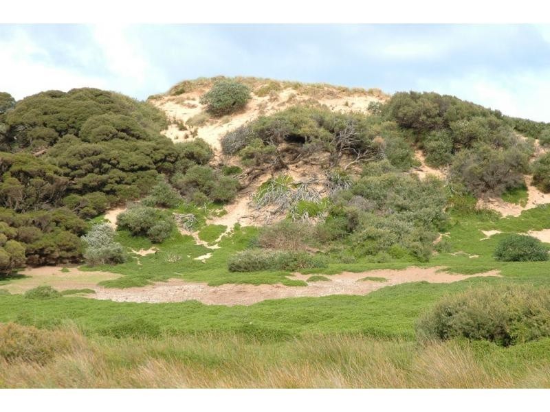 4 Seafoam Street, Surf Beach VIC 3922