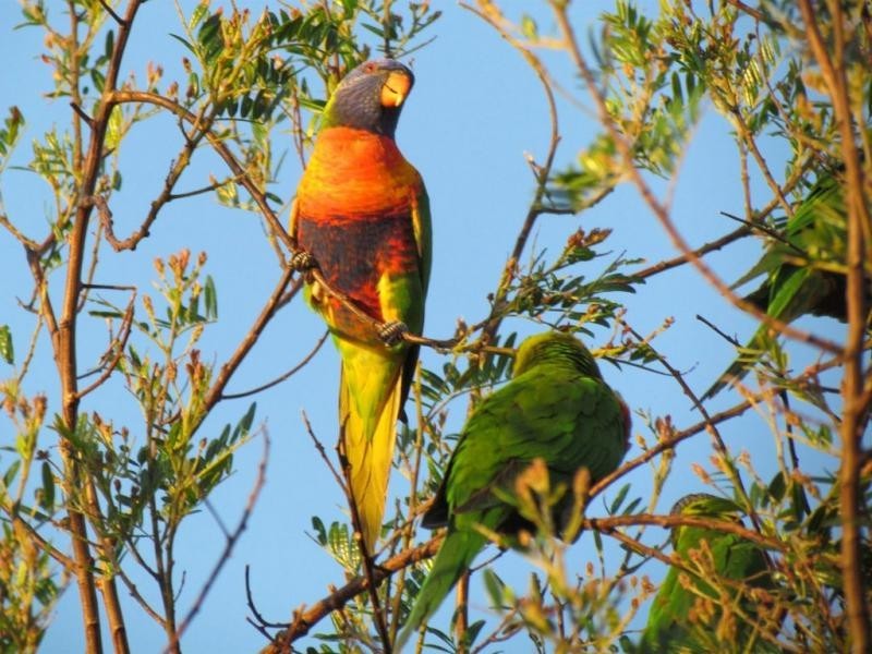 23 Seesburg Street, Cape Woolamai VIC 3925
