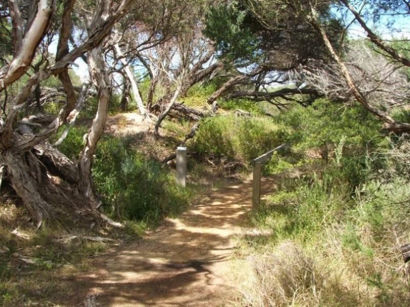 20 Vista Drive, Cape Woolamai VIC 3925