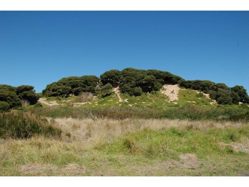 19 Bayview Avenue, Surf Beach VIC 3922