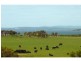 47 Phillip Island Road, Surf Beach VIC 3922