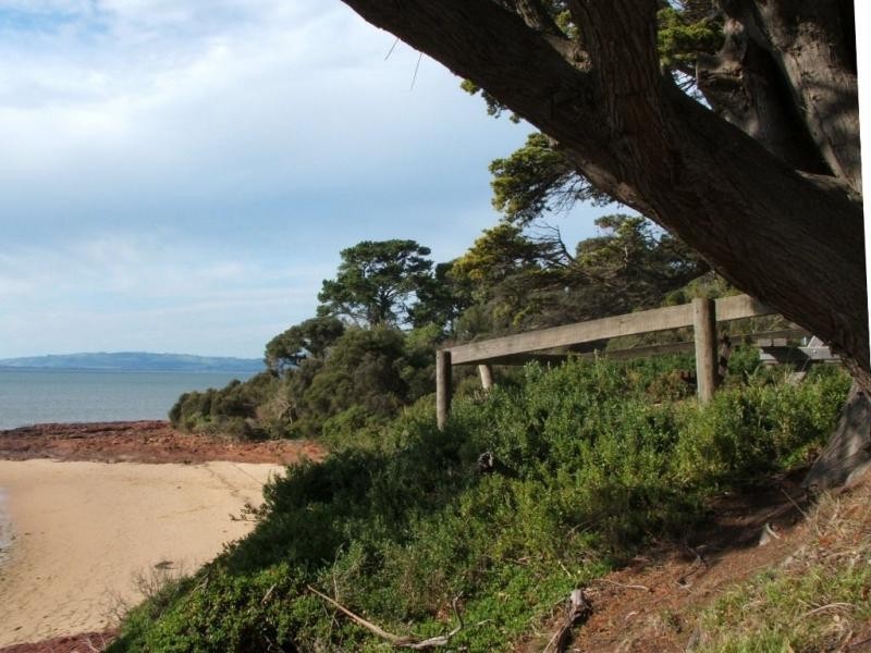 50 Forrest Avenue, Newhaven VIC 3925