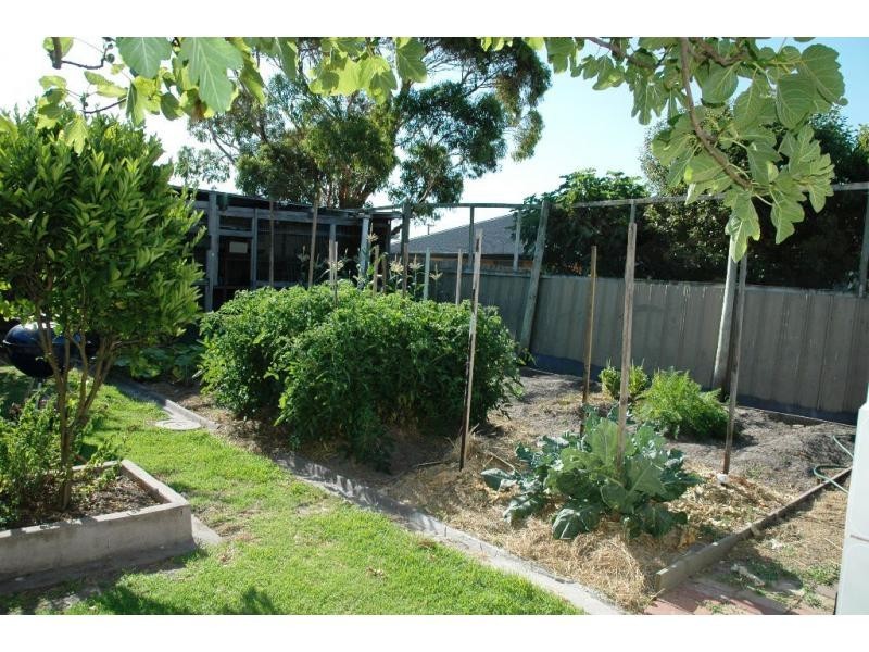12 Broadwater Avenue, Cape Woolamai VIC 3925