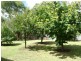 12 Kallay Drive, Pioneer Bay VIC 3984