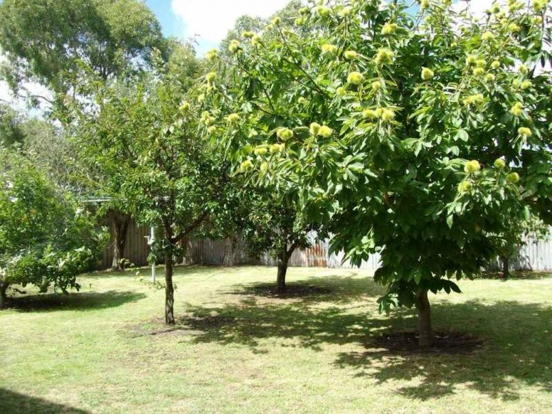 12 Kallay Drive, Pioneer Bay VIC 3984