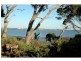 1-3 Rennison Road, Newhaven VIC 3925