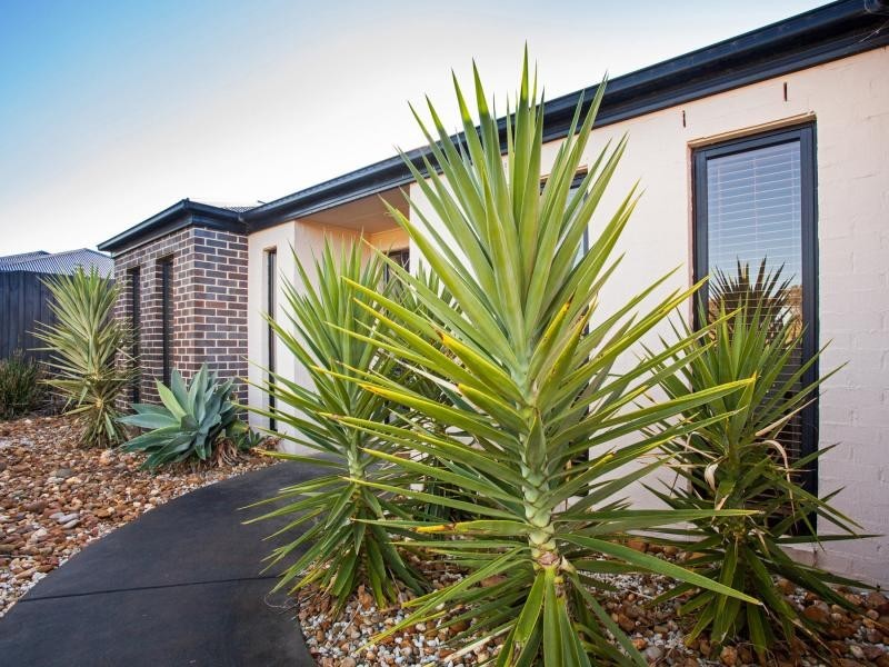5 Casuarina Court, Cowes VIC 3922