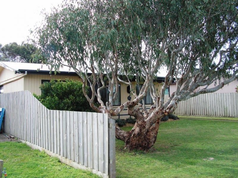 8 Lantana Road, Cape Woolamai VIC 3925