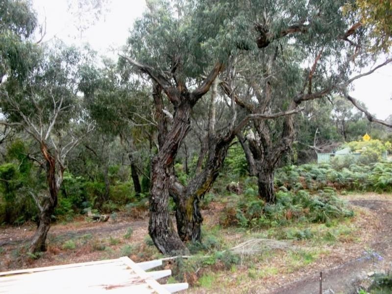 17 Bonney Road, Grantville VIC 3984