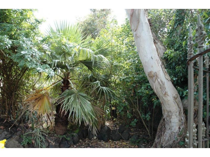 3 Maroubra Drive, Cape Woolamai VIC 3925