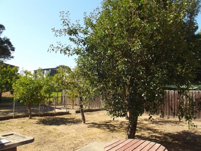 31 Alexander Avenue, Cowes VIC 3922