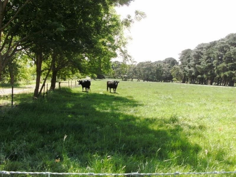 40 O’Connor Road, Corinella VIC 3984