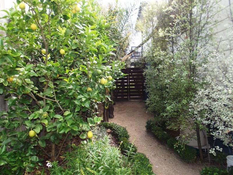 99 Lantana Road, Cape Woolamai VIC 3925