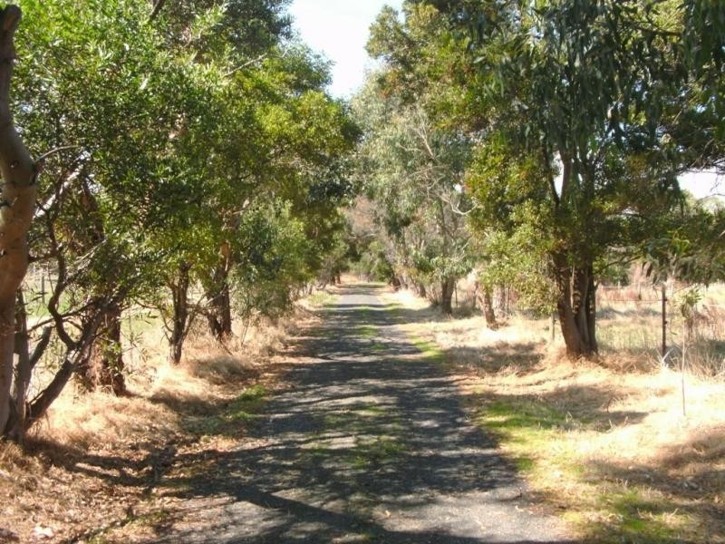 15 Cemetery Road, Corinella VIC 3984
