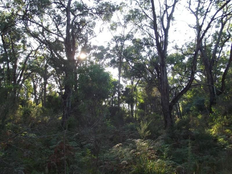Lot 2 Acacia Road, Grantville VIC 3984
