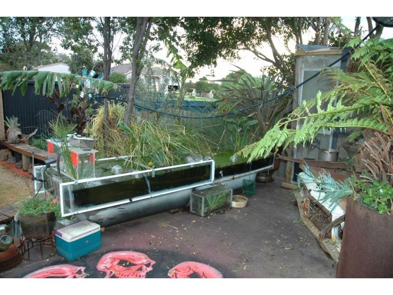 67 Woolamai Beach Road, Cape Woolamai VIC 3925