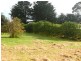 38 Palmer Street, Corinella VIC 3984