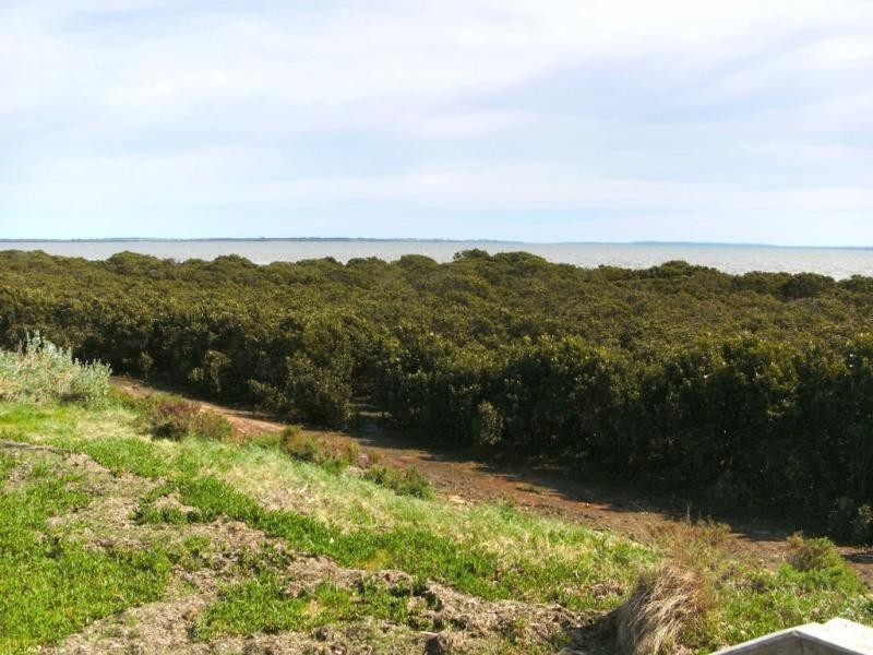 16 Helen Street, Pioneer Bay VIC 3984