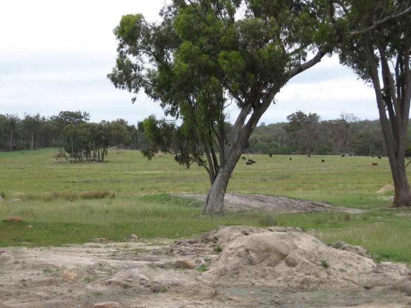 469 Nundubbermere Road, Stanthorpe, Stanthorpe QLD 4380