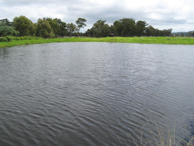 Stanthorpe QLD 4380