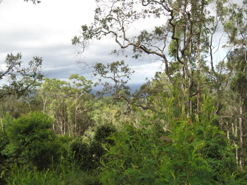 Lot 9 Kingfisher Road, Liston, Stanthorpe QLD 4380