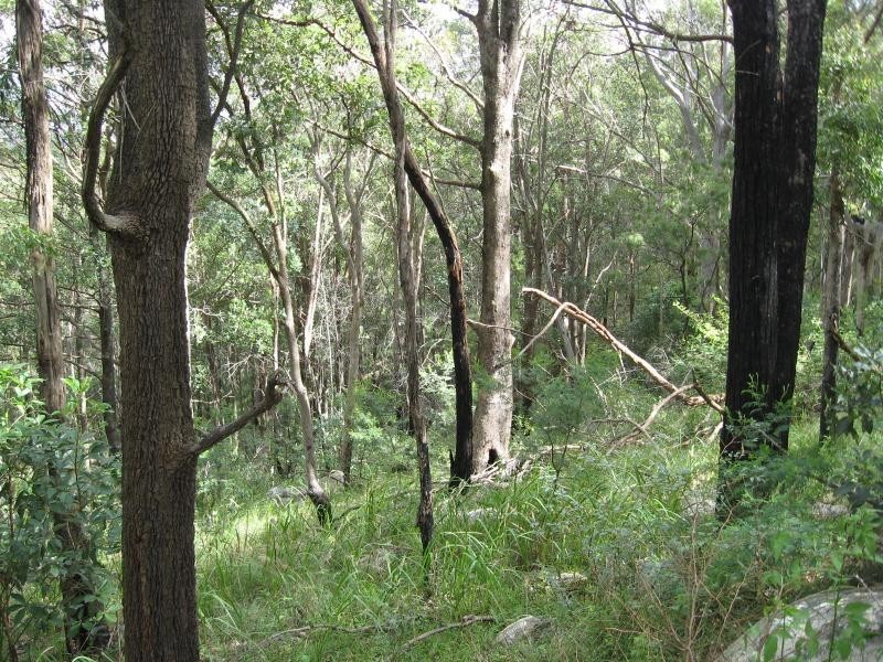 Lot 9 Kingfisher Road, Liston, Stanthorpe QLD 4380