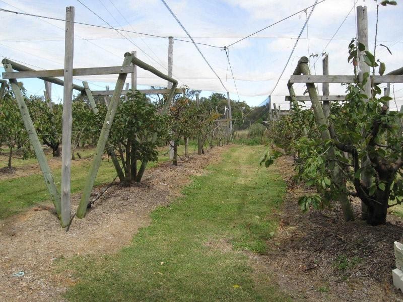 Stanthorpe QLD 4380
