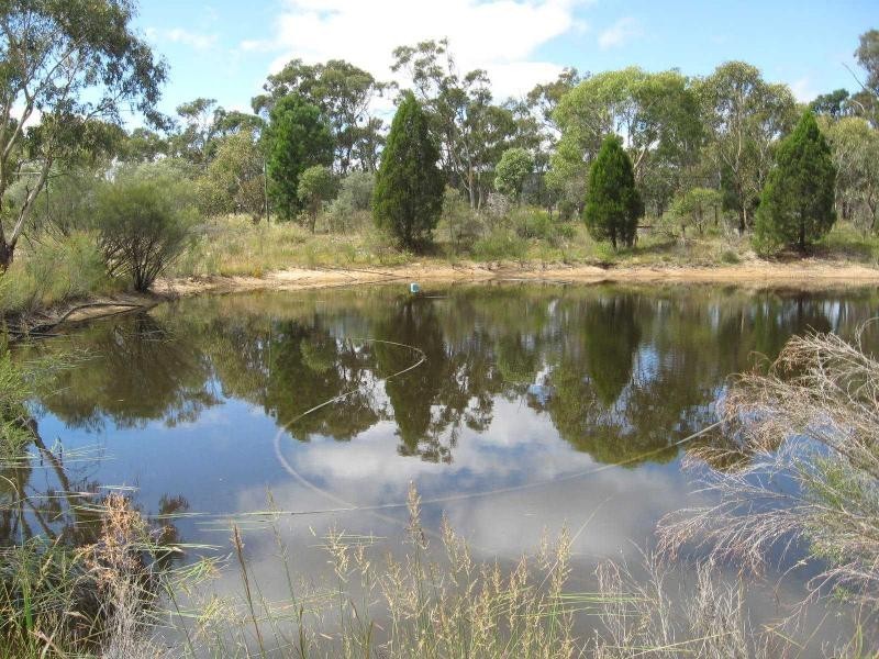 Stanthorpe QLD 4380