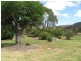 Stanthorpe QLD 4380