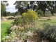 58 Brunckhorst Avenue, Stanthorpe, Stanthorpe QLD 4380