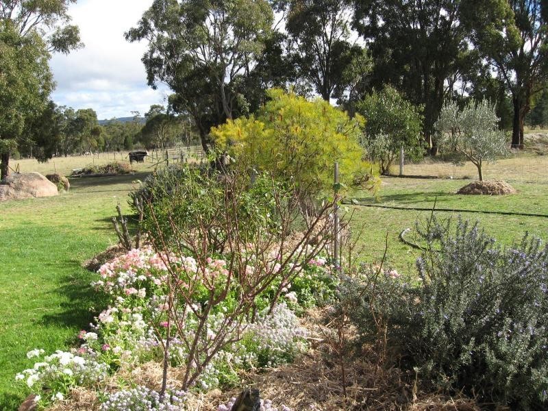58 Brunckhorst Avenue, Stanthorpe, Stanthorpe QLD 4380
