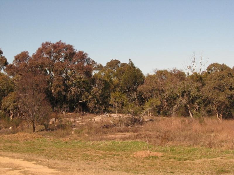 703 Donnellys Castle Road, Pozieres, Stanthorpe QLD 4380