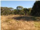 703 Donnellys Castle Road, Pozieres, Stanthorpe QLD 4380