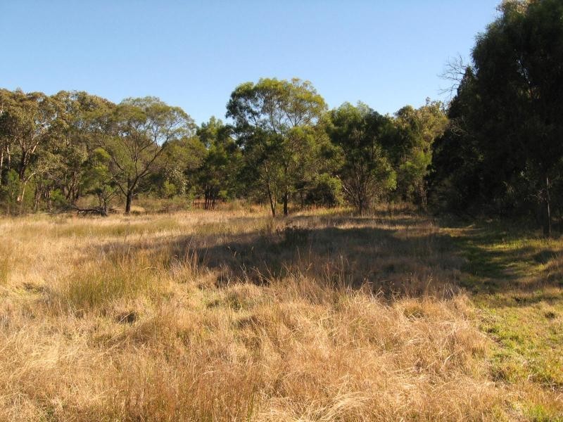 703 Donnellys Castle Road, Pozieres, Stanthorpe QLD 4380