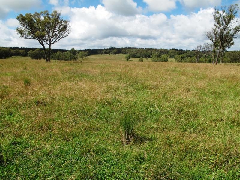 L59 Cattarin Lane, Liston NSW 2372