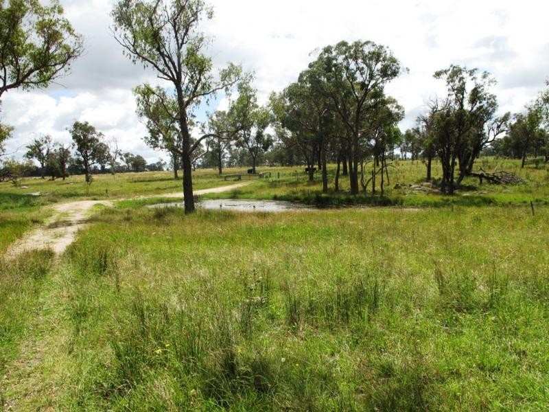 L59 Cattarin Lane, Liston NSW 2372