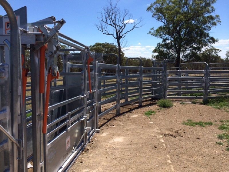 L59 Cattarin Lane, Liston NSW 2372