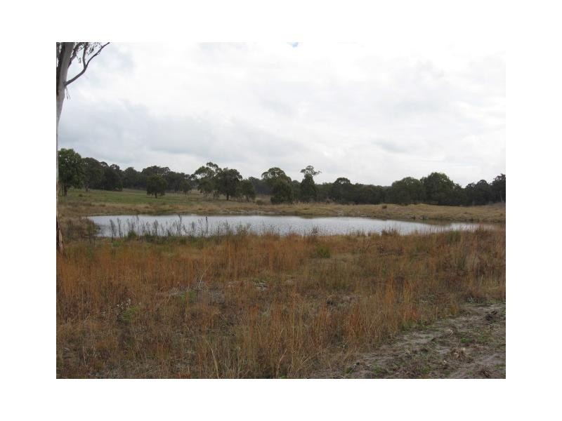 L59 Cattarin Lane, Liston NSW 2372