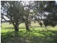 Lot 1 Wylie Creek Road, The Summit, The Summit QLD 4377