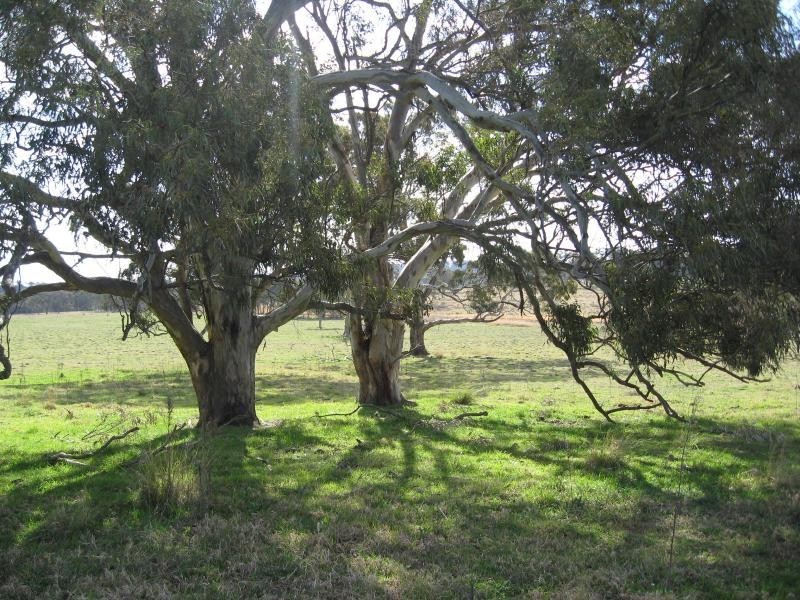 Lot 1 Wylie Creek Road, The Summit, The Summit QLD 4377