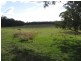 Lot 1 Wylie Creek Road, The Summit, The Summit QLD 4377