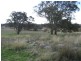 Lot 1 Wylie Creek Road, The Summit, The Summit QLD 4377