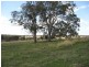 Lot 1 Wylie Creek Road, The Summit, The Summit QLD 4377