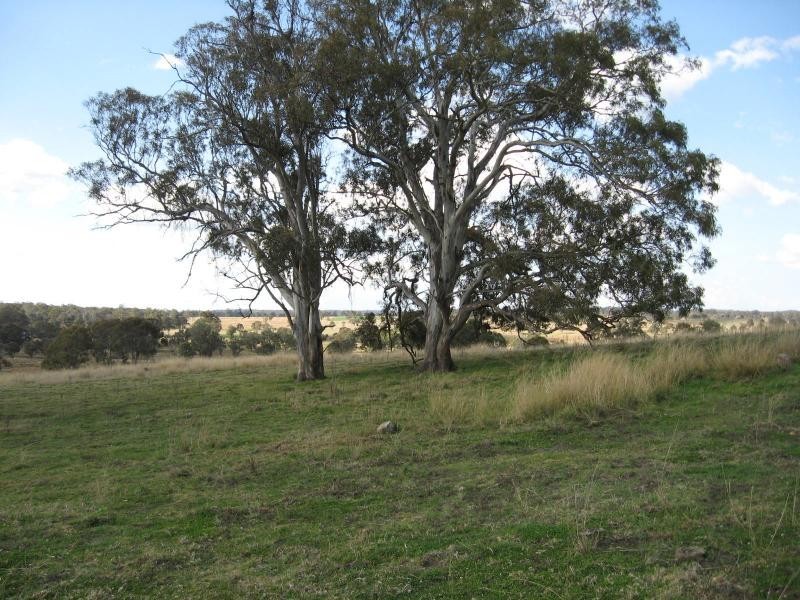 Lot 1 Wylie Creek Road, The Summit, The Summit QLD 4377