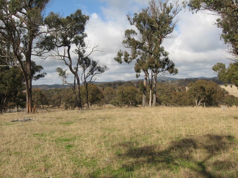 Stanthorpe QLD 4380